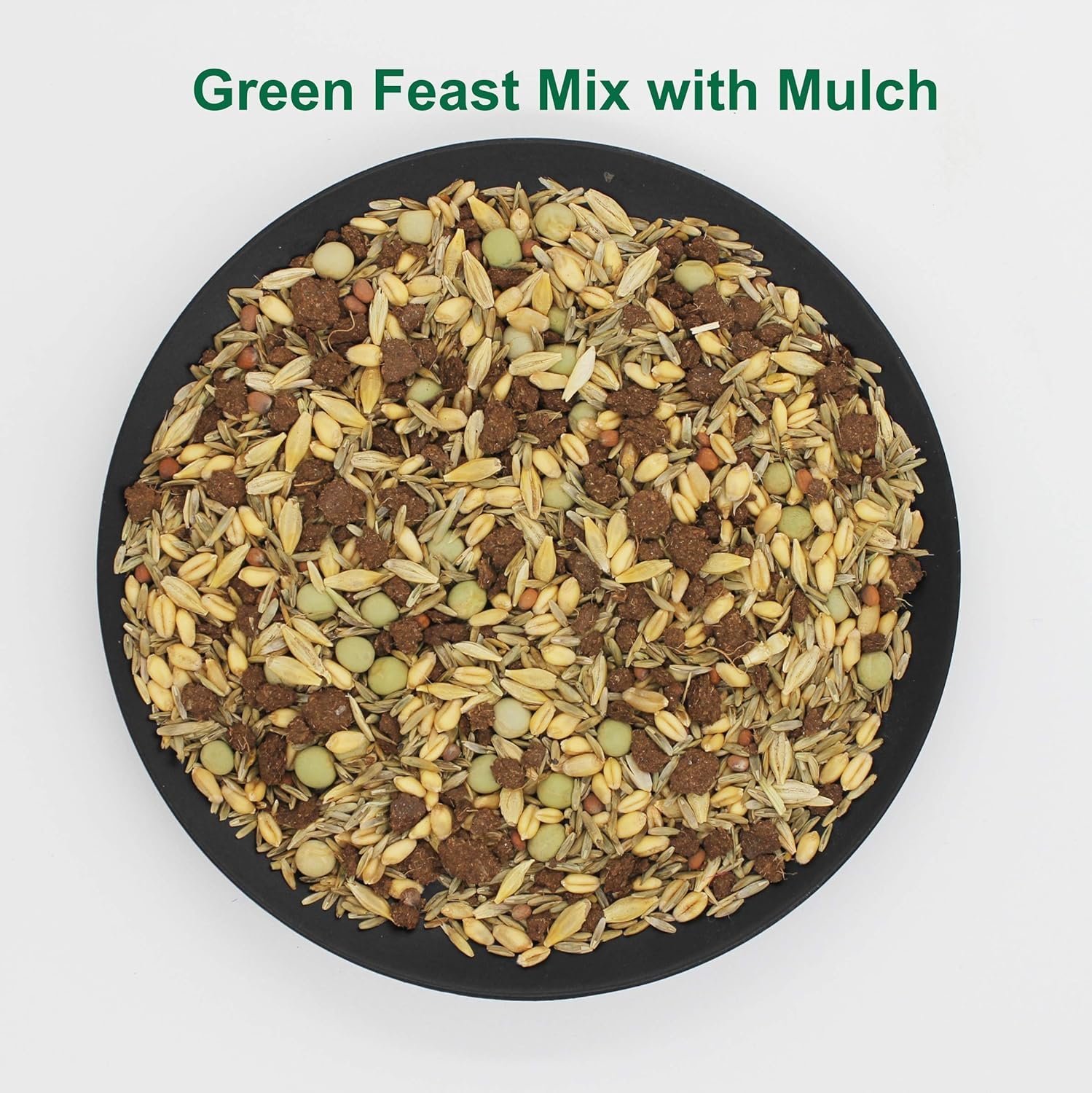 Amturf Green Feast Forage Mix, Brown,2 Lb Bag, 36018S