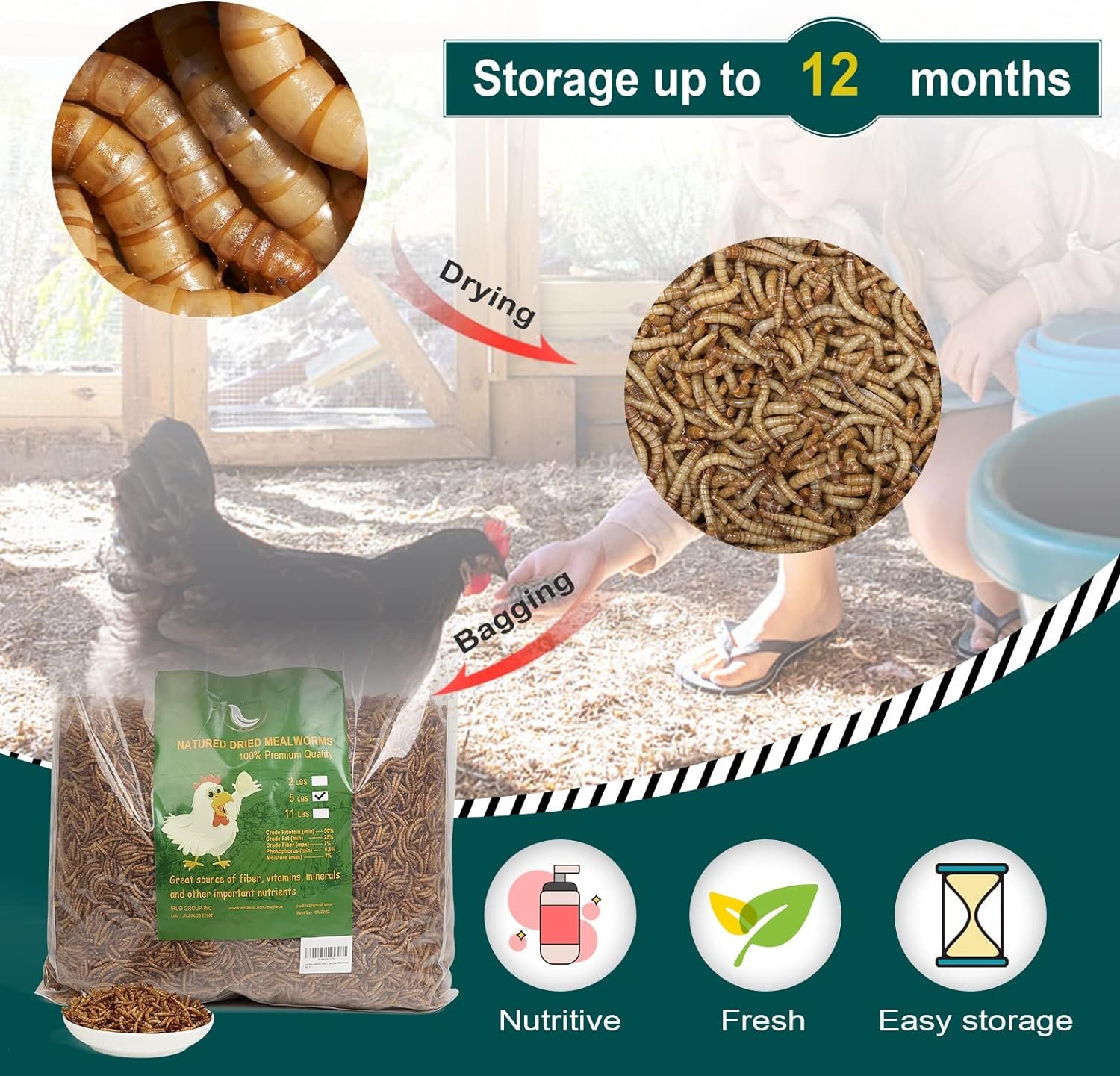 Black Soldier Fly Larvae Dried Mealworms for Chickens, 100% Natural Premium Quality Non-GMO, Treats for Birds Hedgehog Hamster Fish Reptile Turtles (6LB)