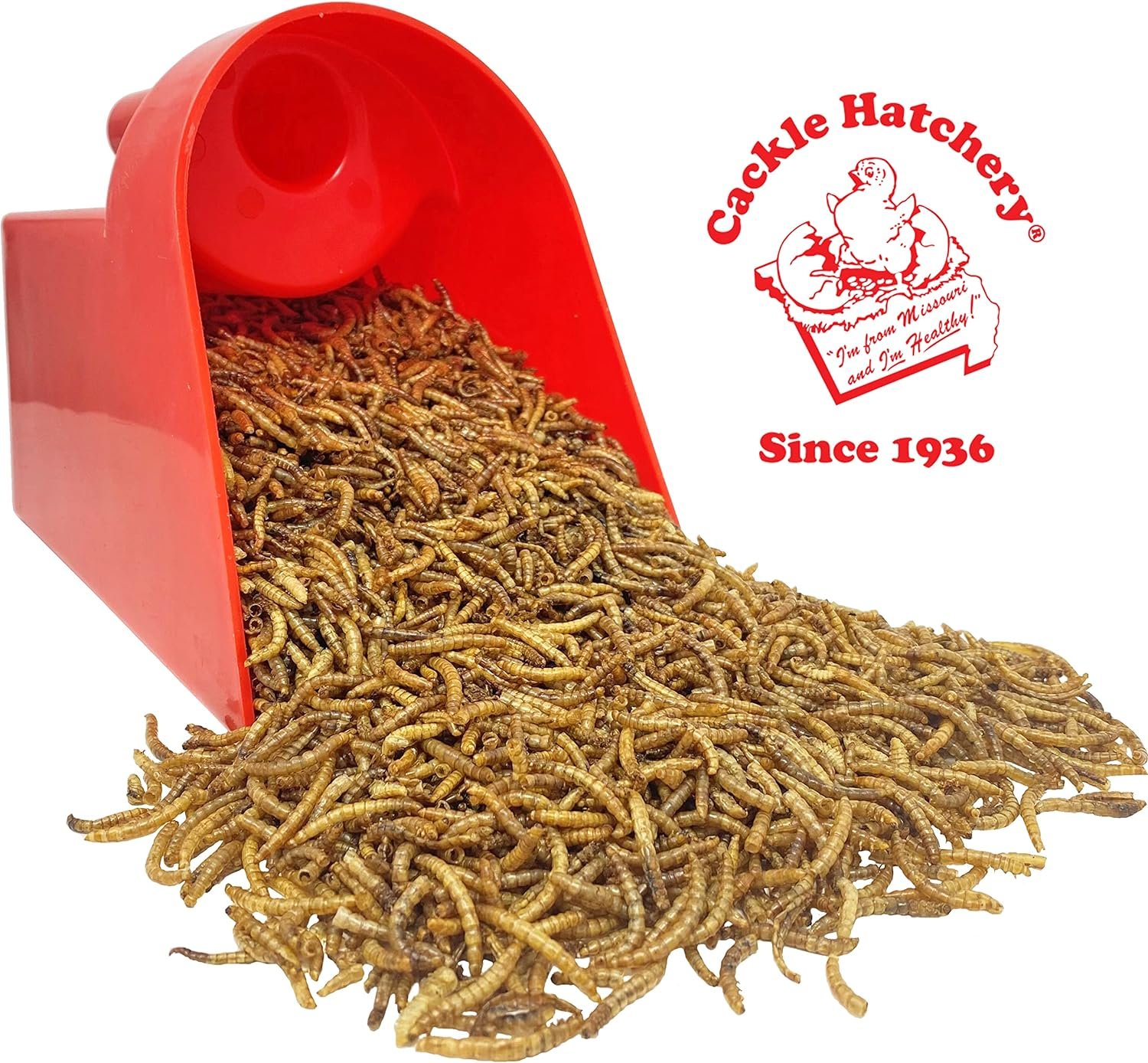 Cackle Hatchery Dried Mealworms for Chickens - 11 LB