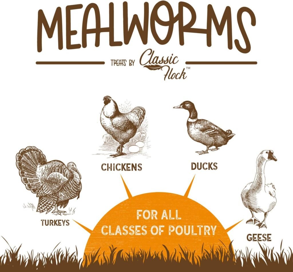 classic flock 11lb dried mealworms review