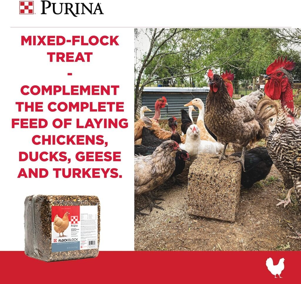comparing 5 chicken feeds hen up organic happy hen treats purina flock block backyard boost and manna pro chicken feed