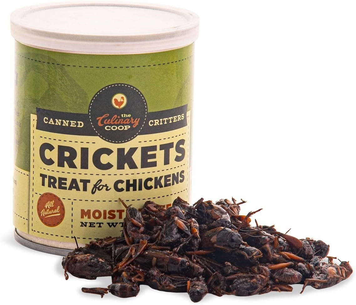 Flukers Culinary Coop Canned Crickets Chicken Treat, All-Natural and Packed with Protein, 2.75oz