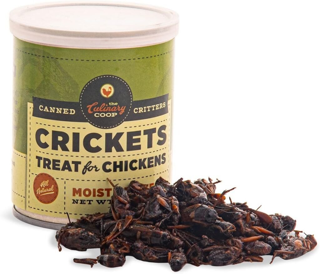 flukers culinary coop canned crickets chicken treat review