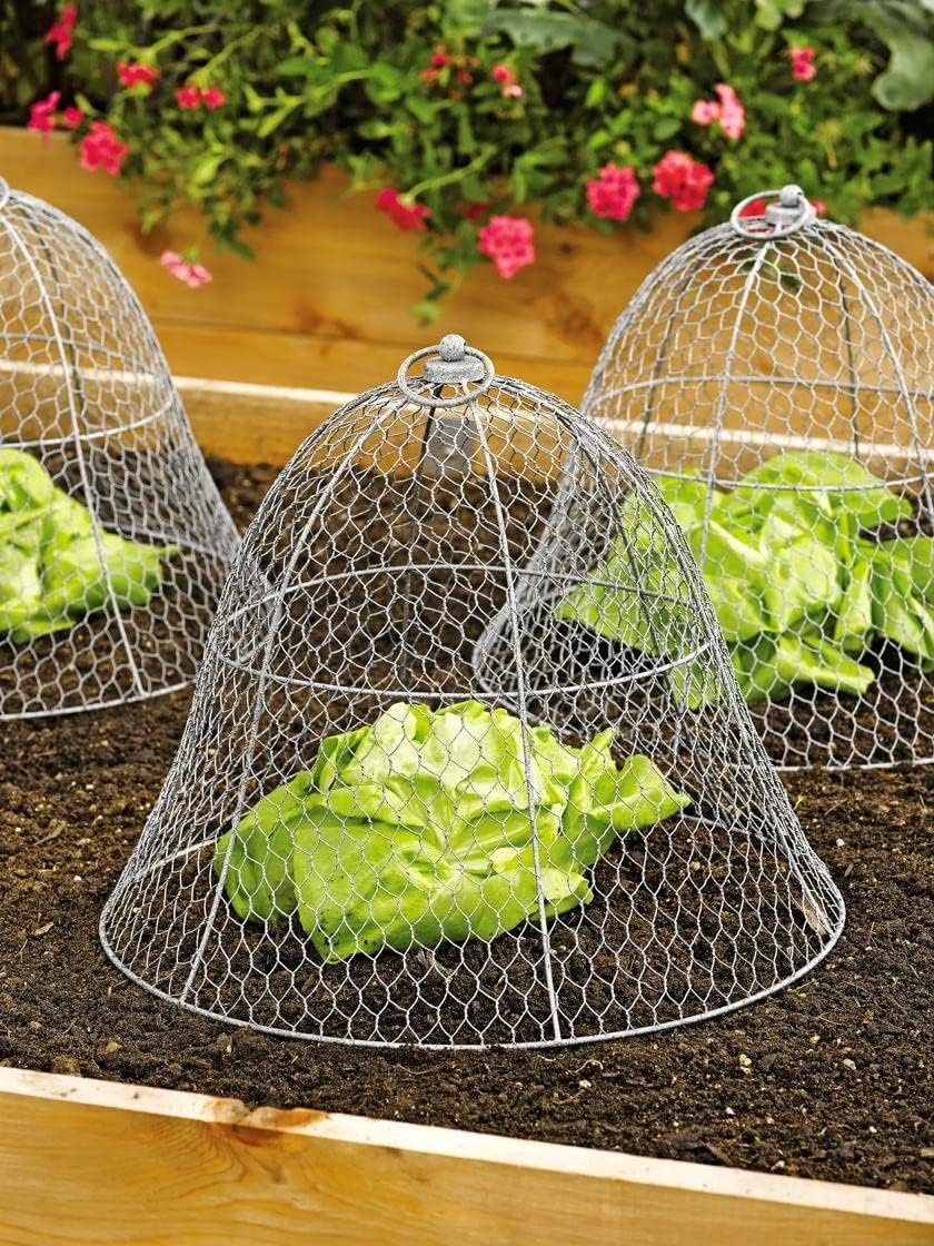 Gardeners Supply Company Sturdy Chicken Wire Cloche Plant Protector  Cover | Sturdy Metal Cage Garden Protection for Your Plants and Seedlings | No Assembly Required - 16 in Diameter x 12-1/2 H