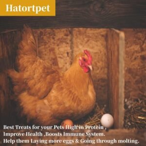 hatortpet 40lb mealworms review