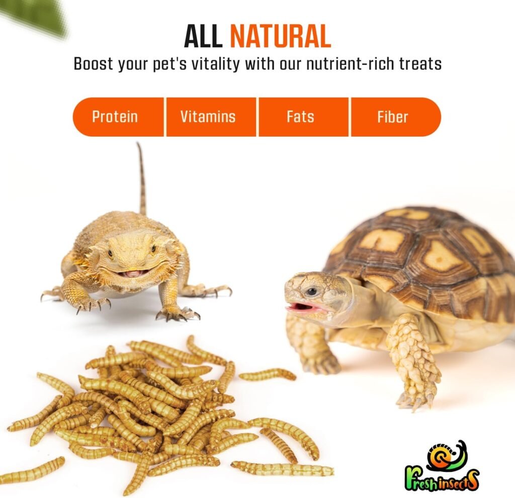 high quality mealworms for chicken or birds review
