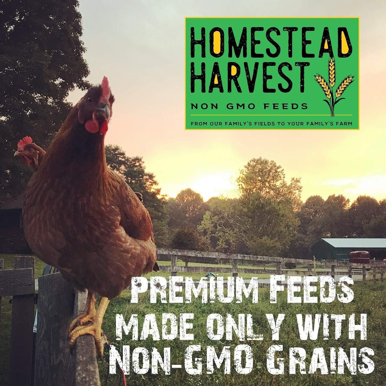 Homestead Harvest Non-GMO Whole Grain Layer Blend 16% for Laying Hens or Ducks 25lb