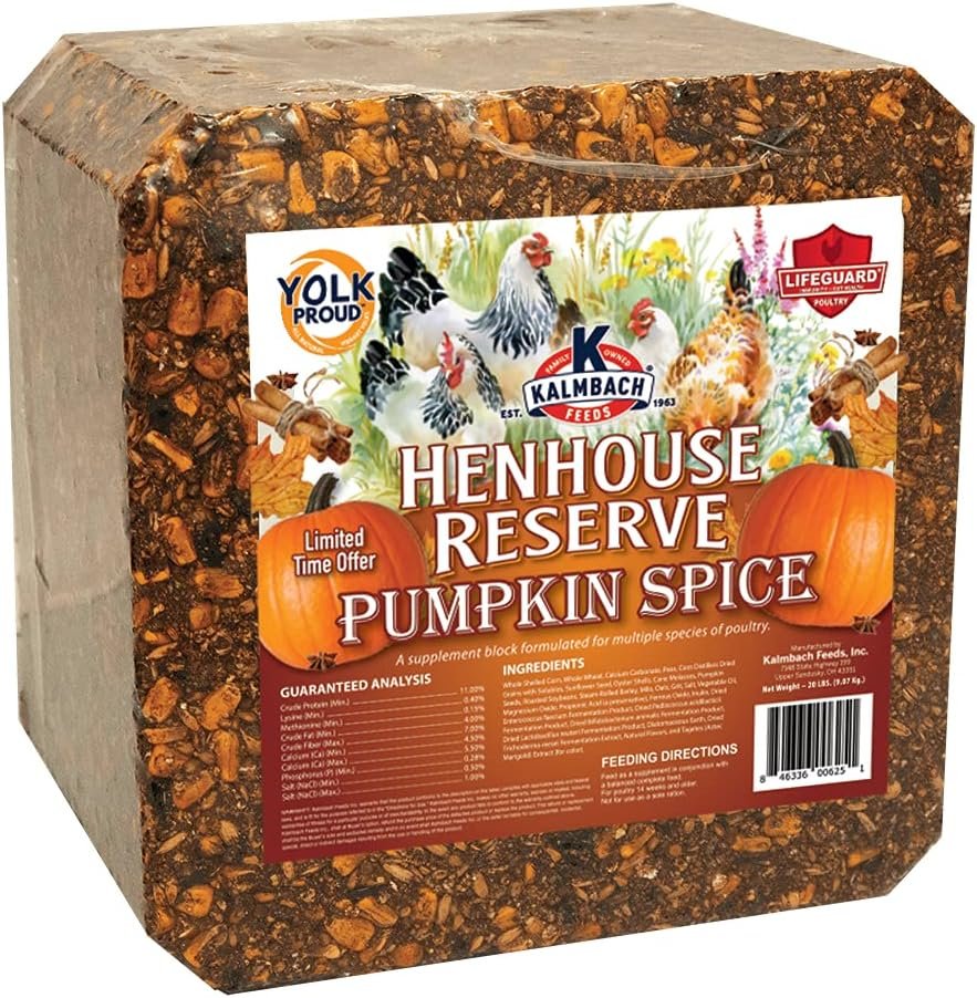 Kalmbach Feeds Henhouse Reserve Pumpkin Spice Flavored Treat Block for Chickens, 20 lb