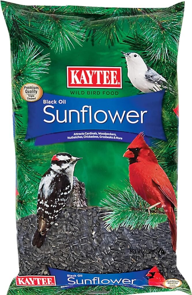 kaytee wild bird black oil sunflower food review