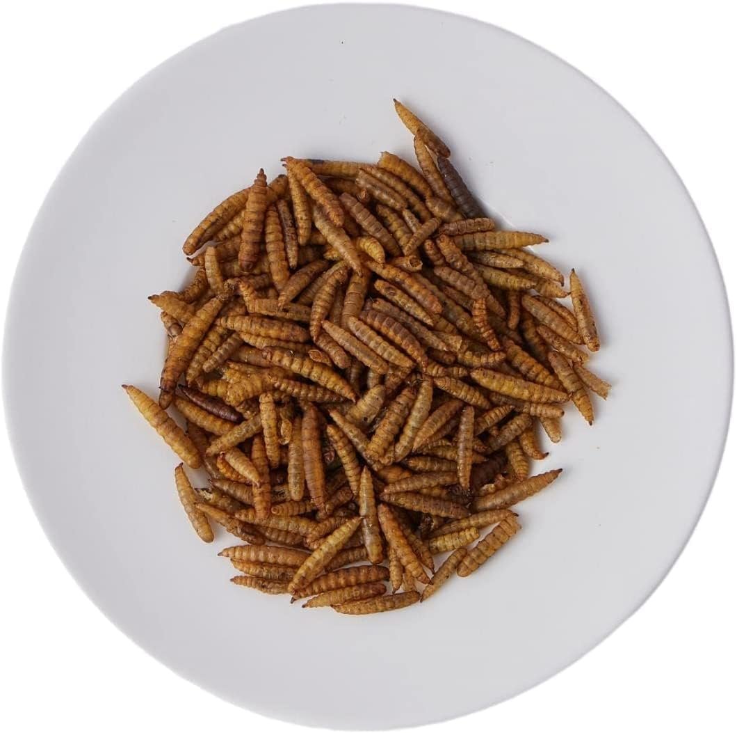 kimoe Dried Black Soldier Fly Larva 5lbs for Wild Bird,Chicken More Calcium Than Dried Mealworms