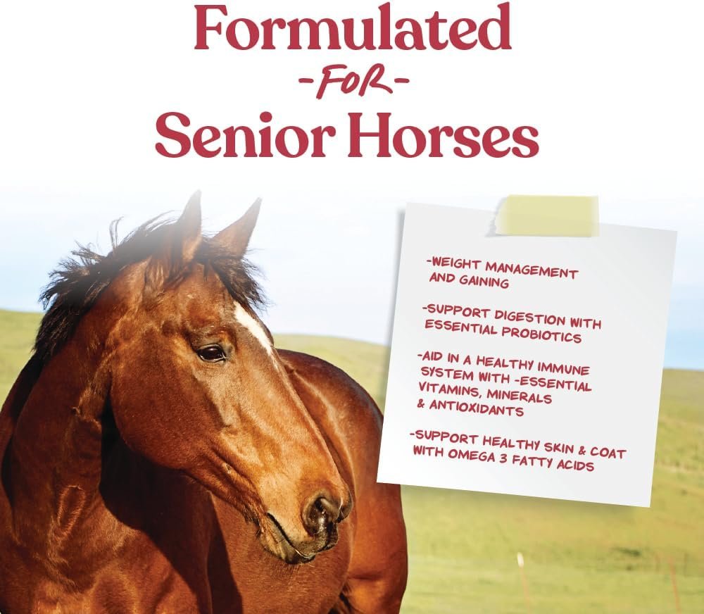 Manna Pro Weight Accelerator For Senior Horses - Made with Omega 3 Fatty Acids - Formulated with Flaxseed - Weight Gain Supplement for Horses - 8 lbs