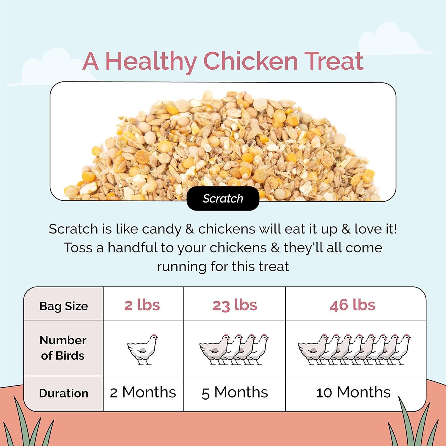 Mile Four | Chicken Scratch | Organic | Non-GMO, Soy-Free, Non-Medicated, Whole Grain Treat for Hens  Roosters | US Grown Grains | 11% Protein | 46 lbs.