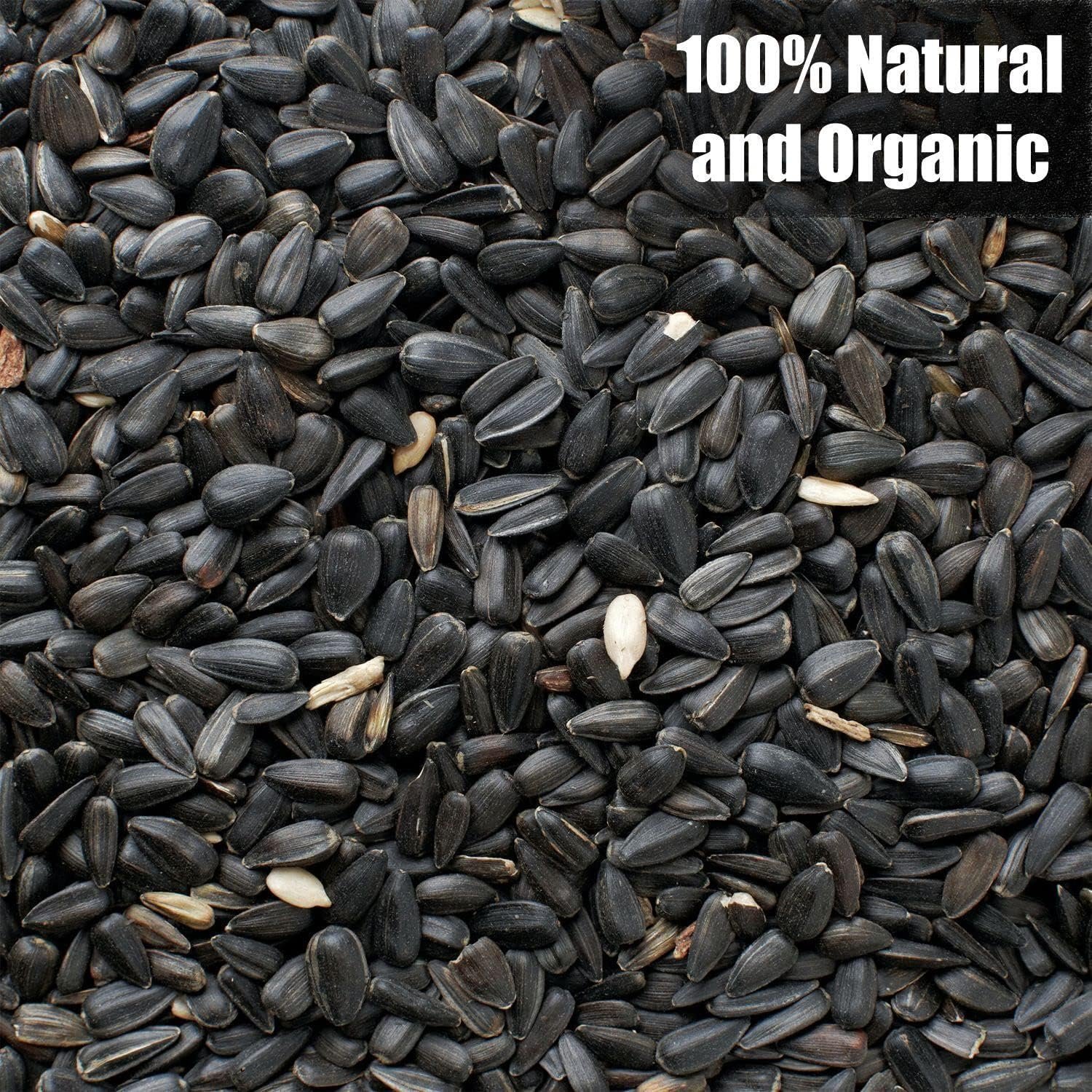 Old Potters Wildlife Black Oil Sunflower Seeds for Wildlife Bird Feed, USA Grown Non-GMO, Attracts Birds (Large, 12, Pound)