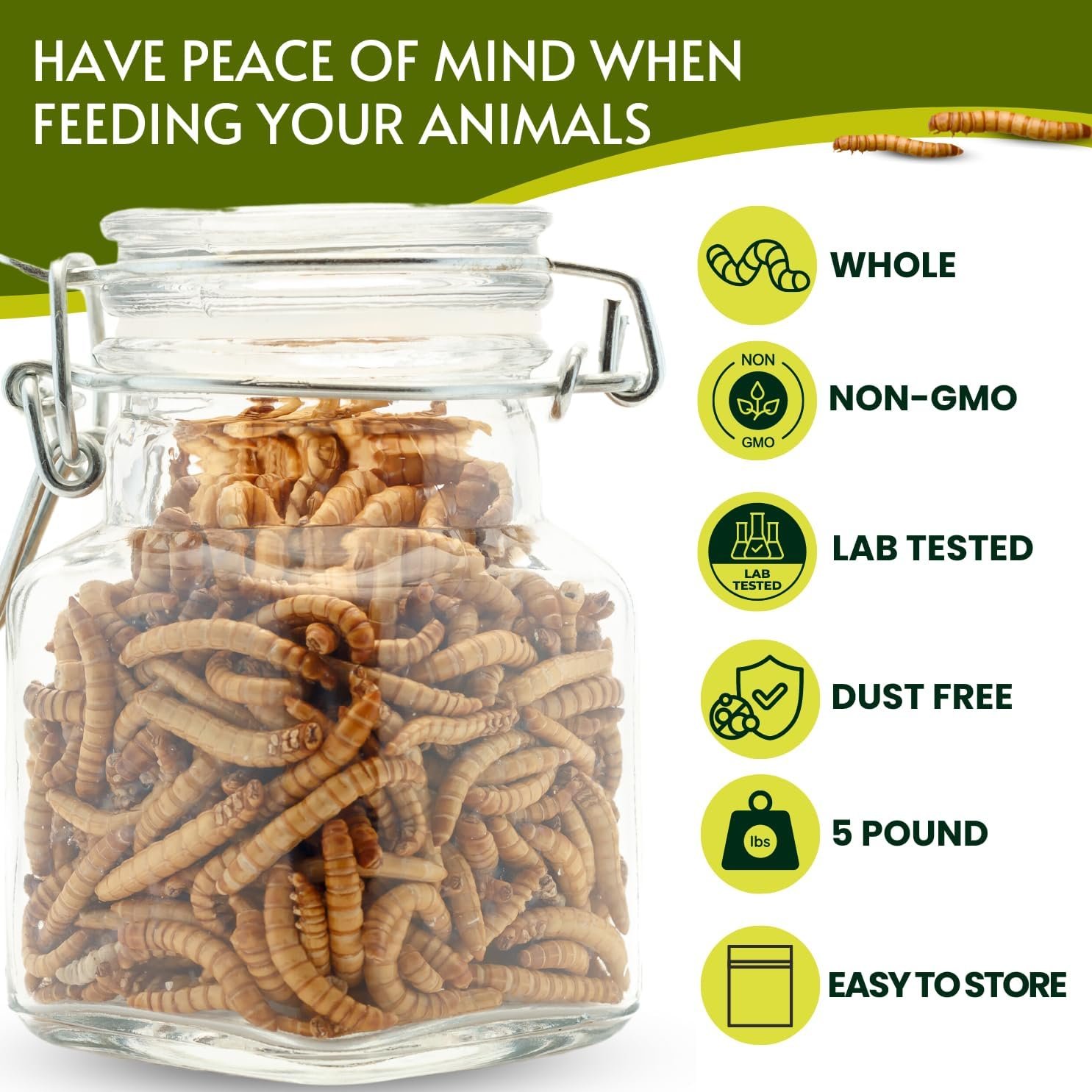 PICKY NEB 100% Non-GMO Dried Mealworms 5 lb - Whole Large Meal Worms Bulk - High-Protein Treats Perfect for Your Chickens, Ducks, Wild Birds
