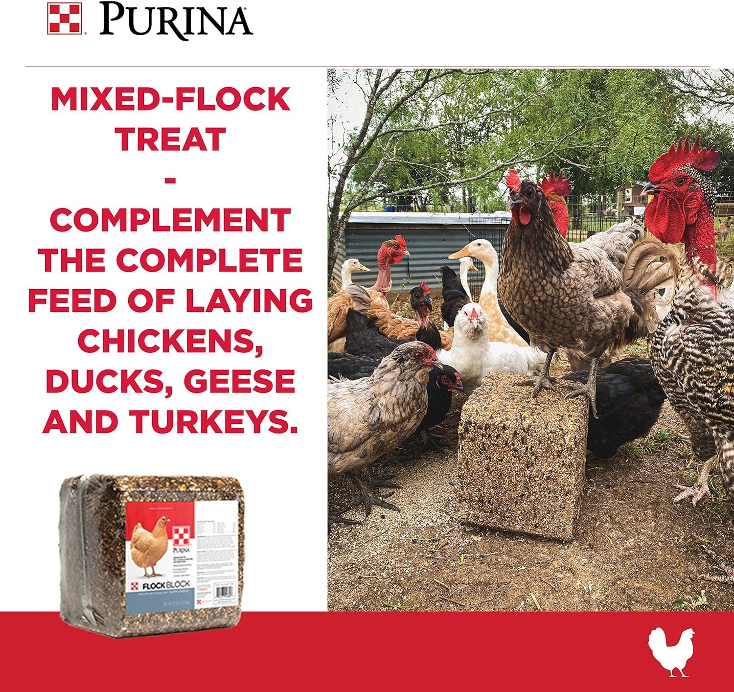 Purina| Flock Block Supplement | 25 Pound (25 lb.) Block
