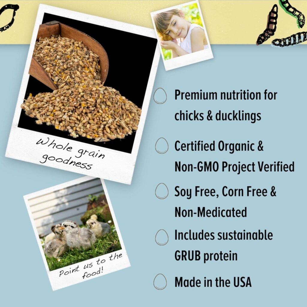 scratch and peck feeds organic layer mash chicken feed review