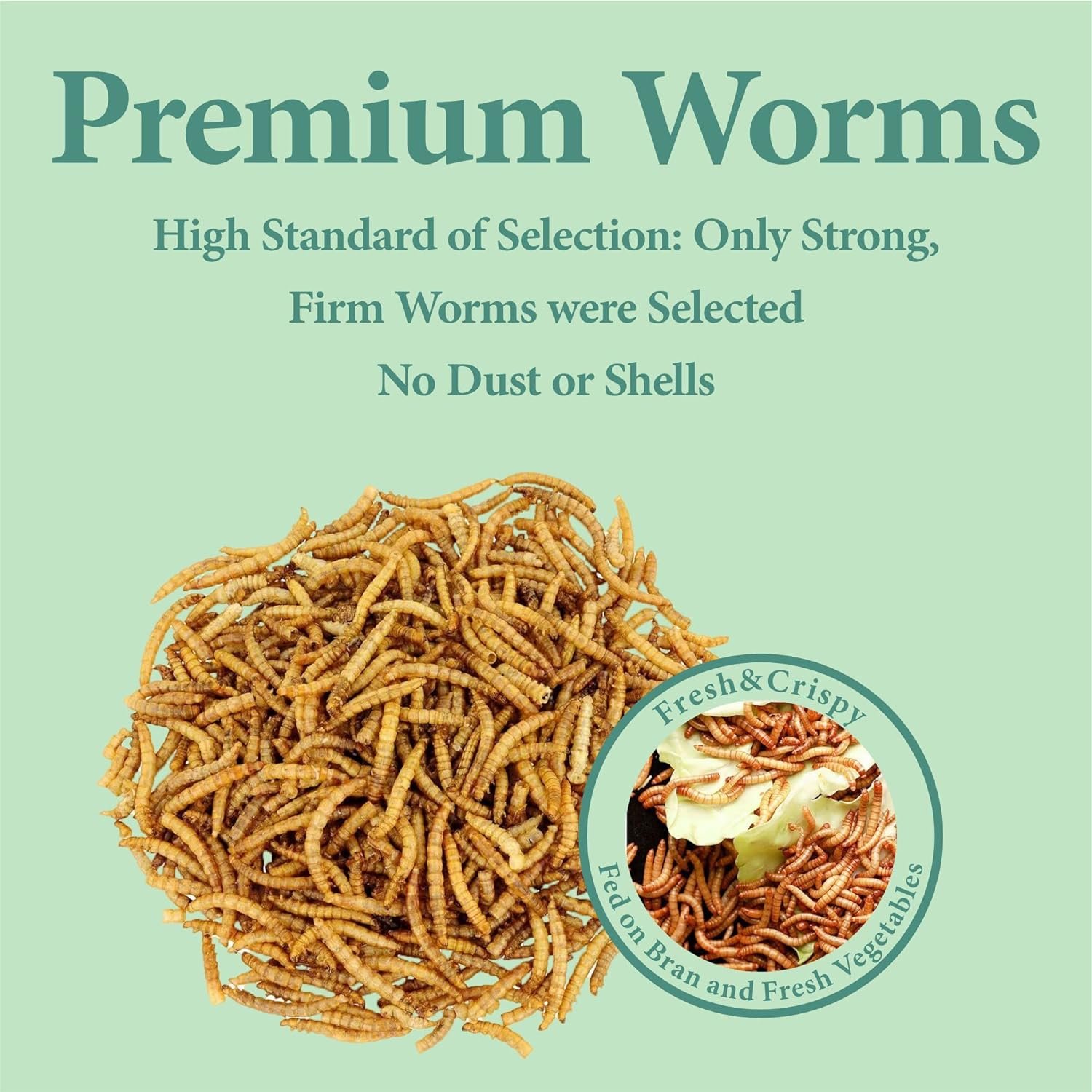 WORMSKING 10LB Dried Mealworms 100% Non GMO, High Protein Meal Worms for Chickens, Wild Birds, Hedgehogs, Hamsters, Reptiles, Great Chicken Food, Bird Food